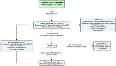 The Management of Cyanotic Spells in Children with Oesophageal Atresia